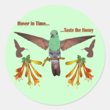 Hummingbird Round Sticker