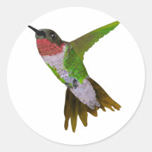 Hummingbird Round Sticker