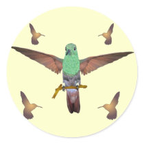 Hummingbird Round Stickers