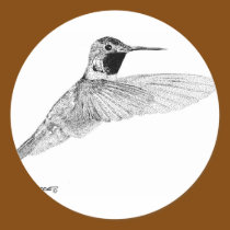 Hummingbird stickers