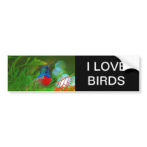 Hummingbird ruby throated bumper stickers