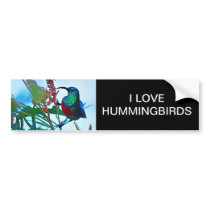 Hummingbird ruby throated bumper stickers