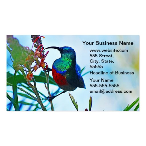 Hummingbird ruby throated business card template