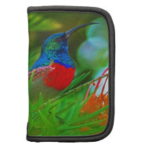 Hummingbird ruby throated folio planner
