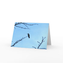 Hummingbird Silhouette cards