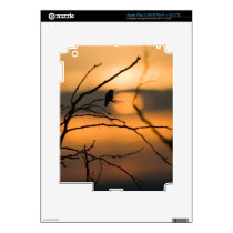 Hummingbird Silhouette iPad 3 Skins