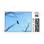 Hummingbird Silhouette postage