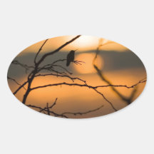 Hummingbird Silhouette Sticker