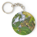 Hummingbird Sitting in a Privet Tree Keychains