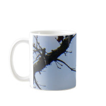 Hummingbird sitting on a tree mug