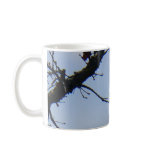 Hummingbird sitting on a tree mug