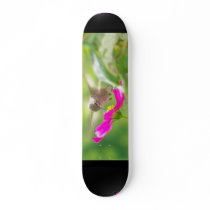 Hummingbird Skateboard