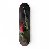 Hummingbird skateboards