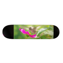 Hummingbird Skateboard
