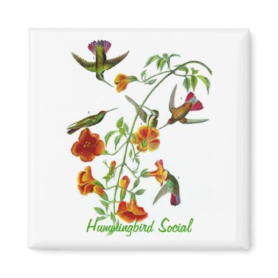 Hummingbird Social Fridge Magnets by catwoman62