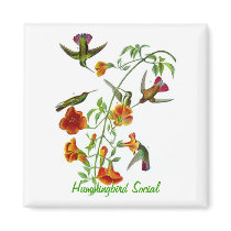 Hummingbird Social magnets by catwoman62 Hummingbird Social magnets