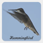 Hummingbird Square Stickers