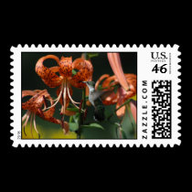 Hummingbird Stamp stamps