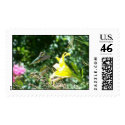 Hummingbird Stamp 1