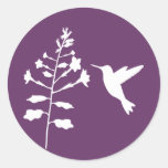 Hummingbird Sticker
