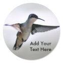 Hummingbird Stickers