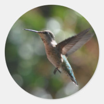 Hummingbird, stickers