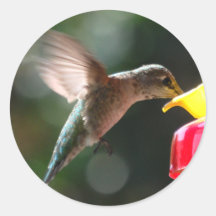Hummingbird, stickers