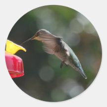 Hummingbird, stickers