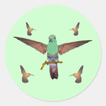 Hummingbird Stickers