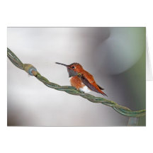 Hummingbird Sticking Out Tongue Greeting Card