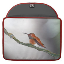 Hummingbird Sticking Out Tongue Sleeve For MacBooks