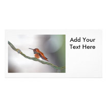 Hummingbird Sticking Out Tongue Customized Photo Card