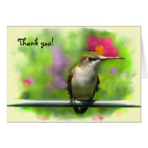 Hummingbird Thank You Greeting Cards