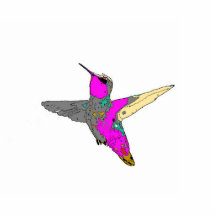 Hummingbird Tree Ornament Photo Sculptures