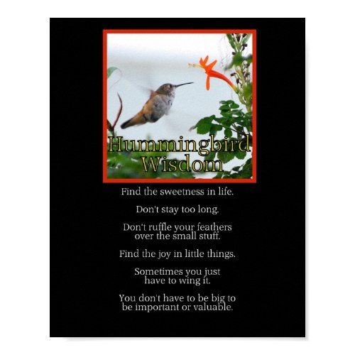 Hummingbird Wisdom Poster print
