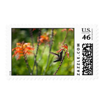 Hummingbird with Orange Cardinal Flower Stamp