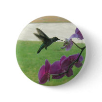 Hummingbird with Orchid buttons