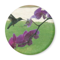 Hummingbird with Orchid magnets