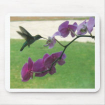 Hummingbird with Orchid mousepads