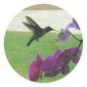 Hummingbird with Orchid stickers