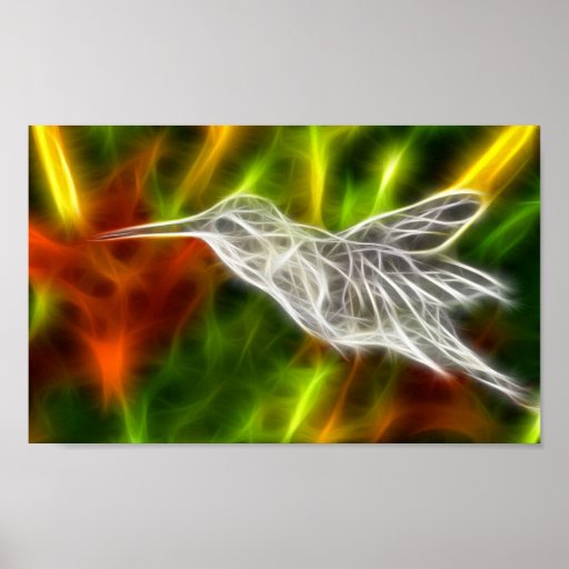 Hummingbird XRay Print Zazzle