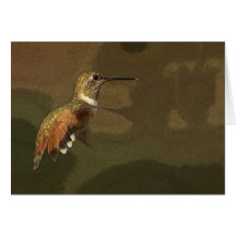 Hummingbirds 100b cards