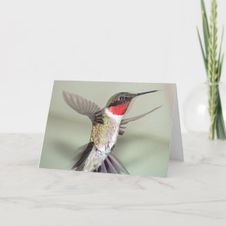 Hummingbirds 2003-0082a card