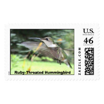 Hummingbirds 2005_0760 postage