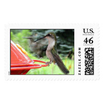 Hummingbirds 2005_0765 postage