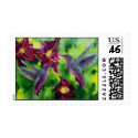 Hummingbirds and Lillies Custom Postage postage by artbyjolyn Hummingbirds and Lillies Custom Postage postage