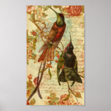 Hummingbirds and Roses Posters