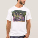 Hummingbirds and Wooley Blue Curls t-shirts