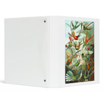 Hummingbirds Vinyl Binder