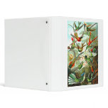 Hummingbirds binders